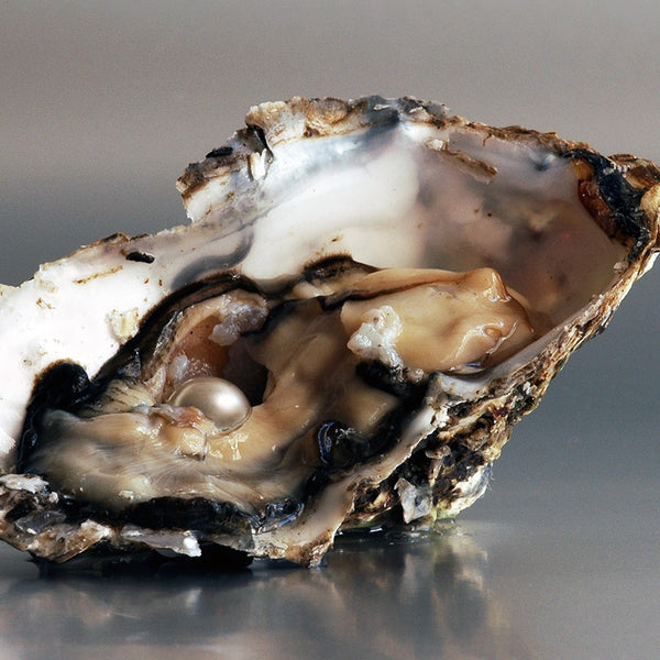 The Fresh Water Pearls