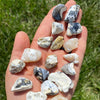 SHAJRI AQEEQ - 33 BEADS - 10 MM