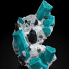 Icy Amazonite & Ebony Wood Flexible Bracelet 8MM.